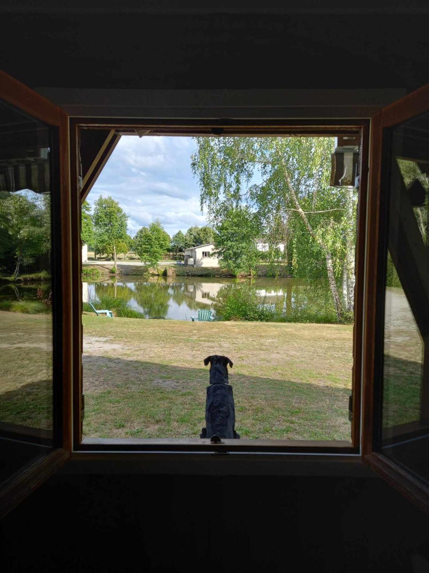 Le Chalet Limousin Folles ภายนอก รูปภาพ