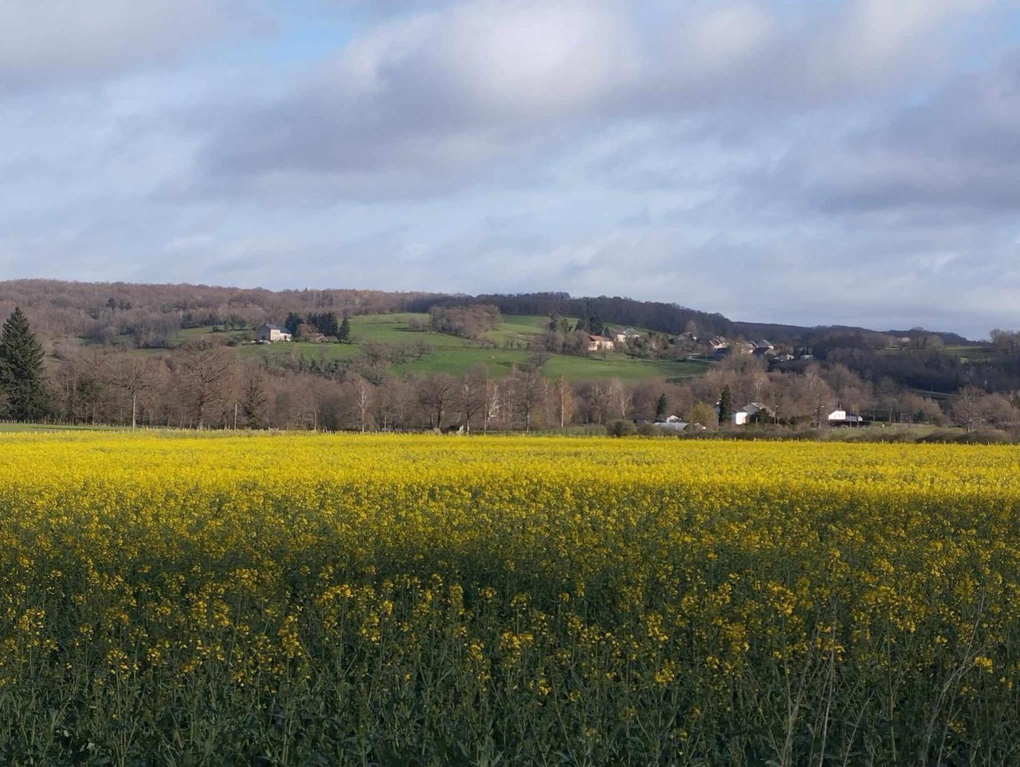 Le Chalet Limousin Folles ภายนอก รูปภาพ
